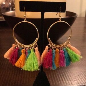 NWOT~Multi-Color Tassel Boho Earrings